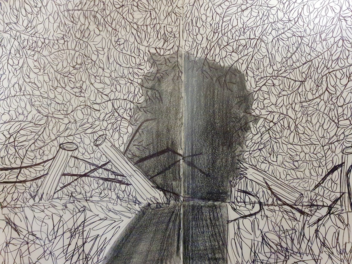 A Gap In The&nbsp;Forest
